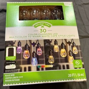 Holiday Time Color-Changing LED String Lights